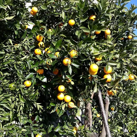 Apartman Casa Ai Castelli