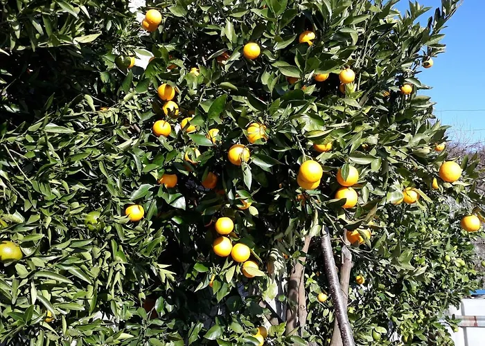 דירה Casa Ai Castelli