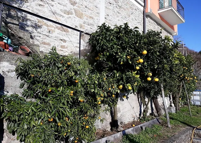 Casa Ai Castelli דירה קנוביו